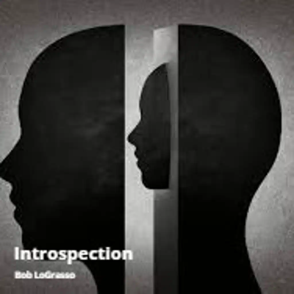 Introspection