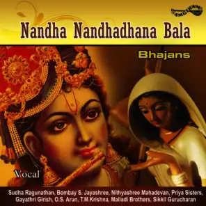 Nandanandana - Sudha Saranga - Adi