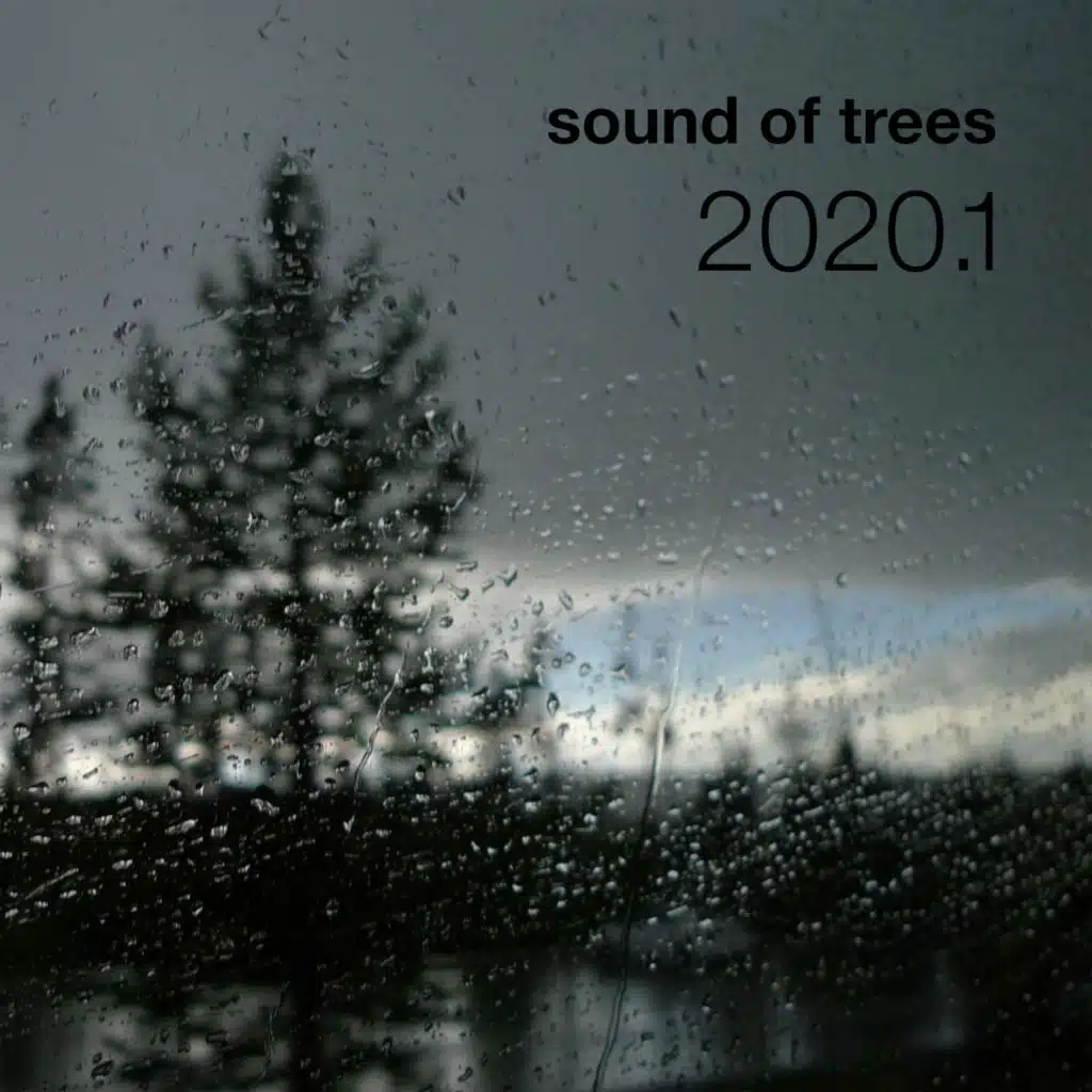 2020.1