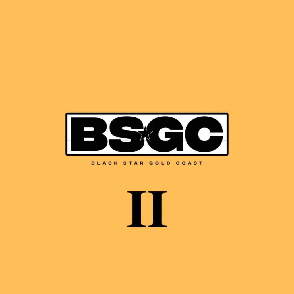 Bsgc 2