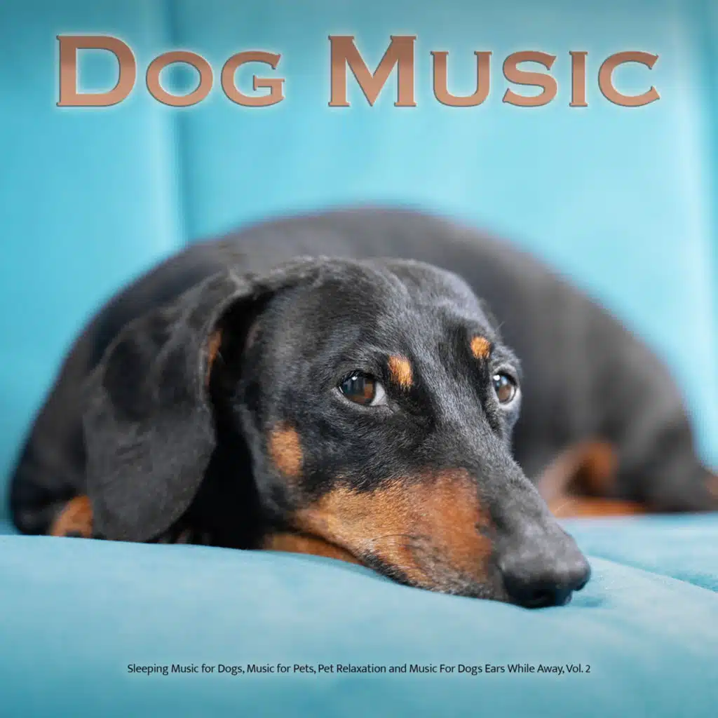 Dog Music: Sleeping Music for Dogs, Music for Pets, Pet Relaxation and Music For Dogs Ears While Away, Vol. 2