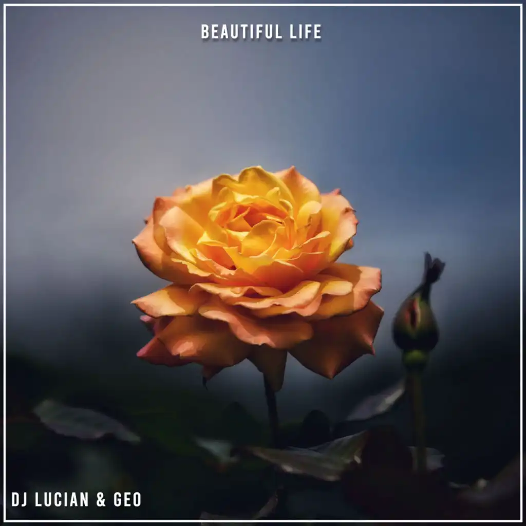 Beautiful Life (Extended Mix)