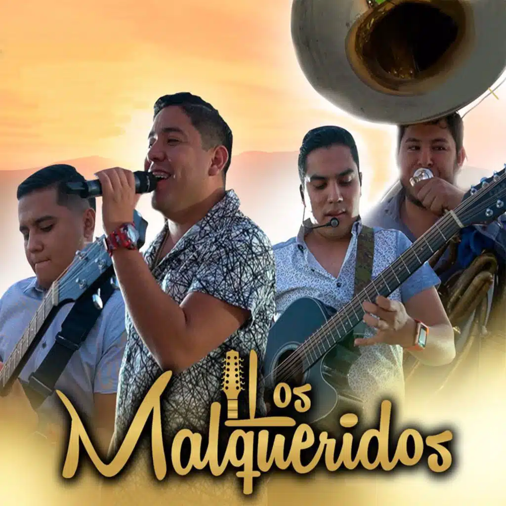 Live San José de Gracia