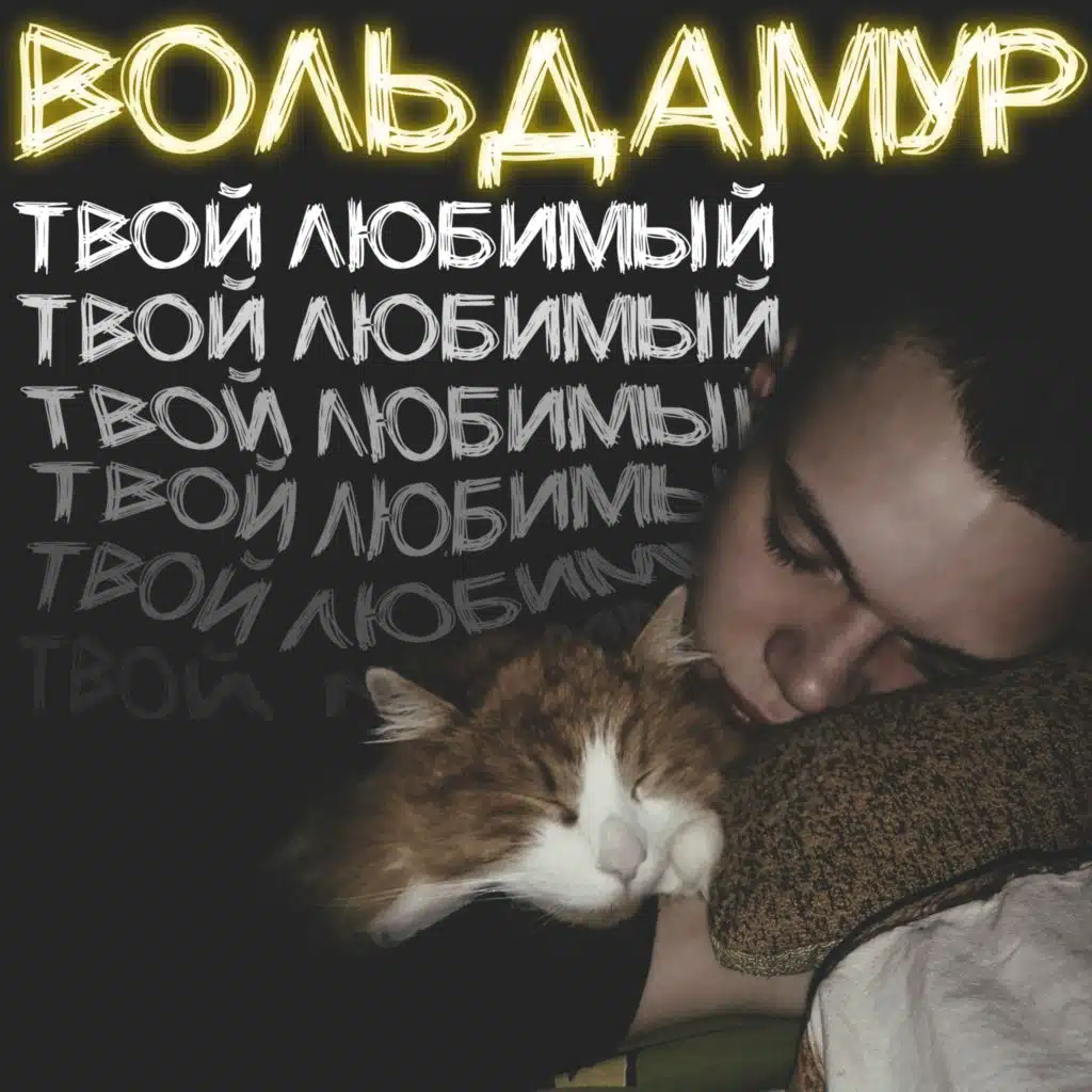 ВОЛЬДАМУР