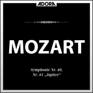 Symphonie No. 40 für Orchester in G Minor,K. 550: IV. Finale - Allegro assai
