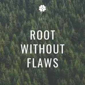 Root Without Flaws