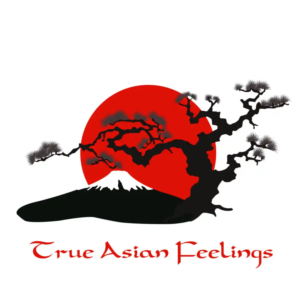 True Asian Feelings – Traditional Chinese Music for Meditation, Yoga and Self-Care Practice
