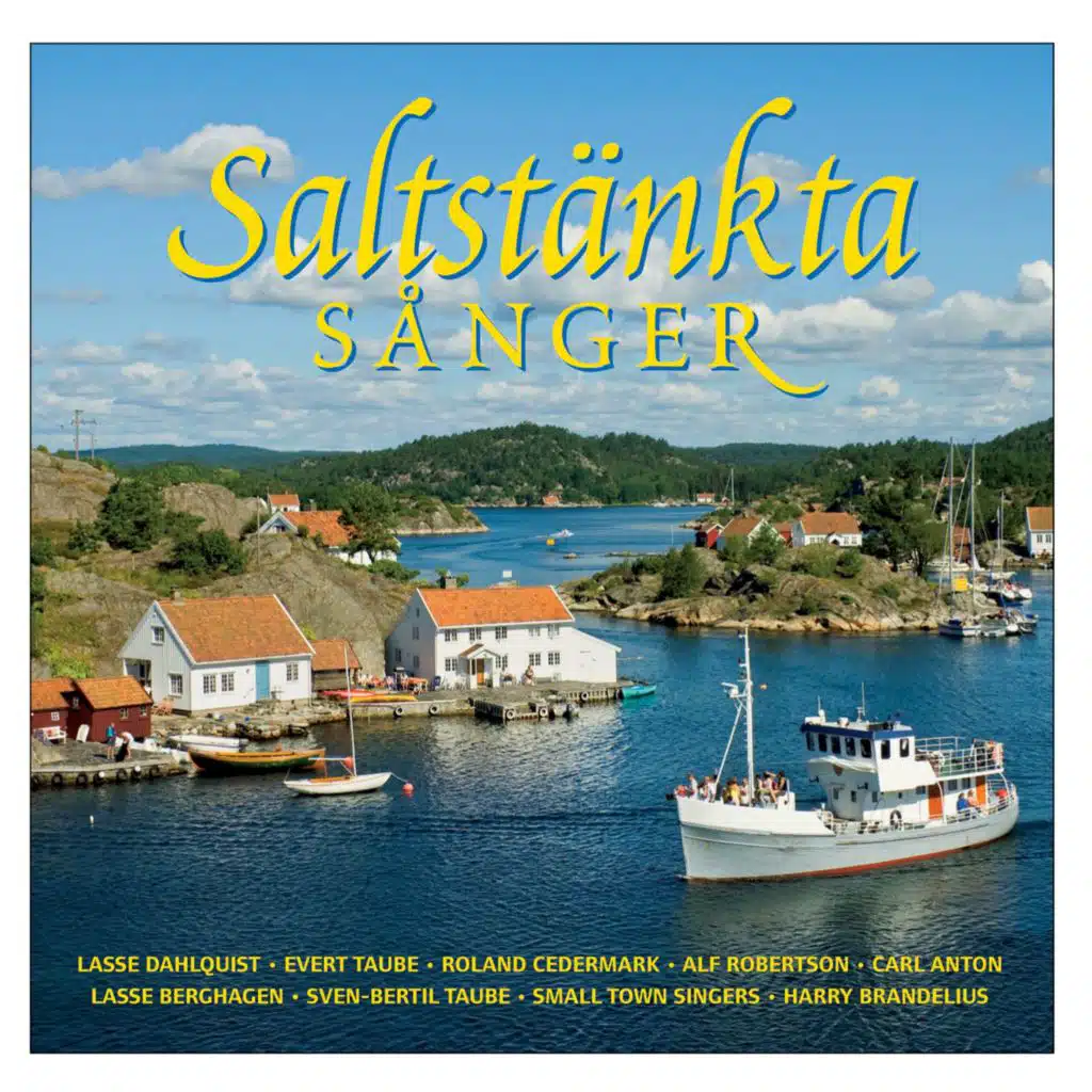 Så skimrande var aldrig havet