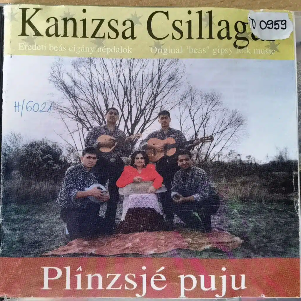Plînzyjé puju