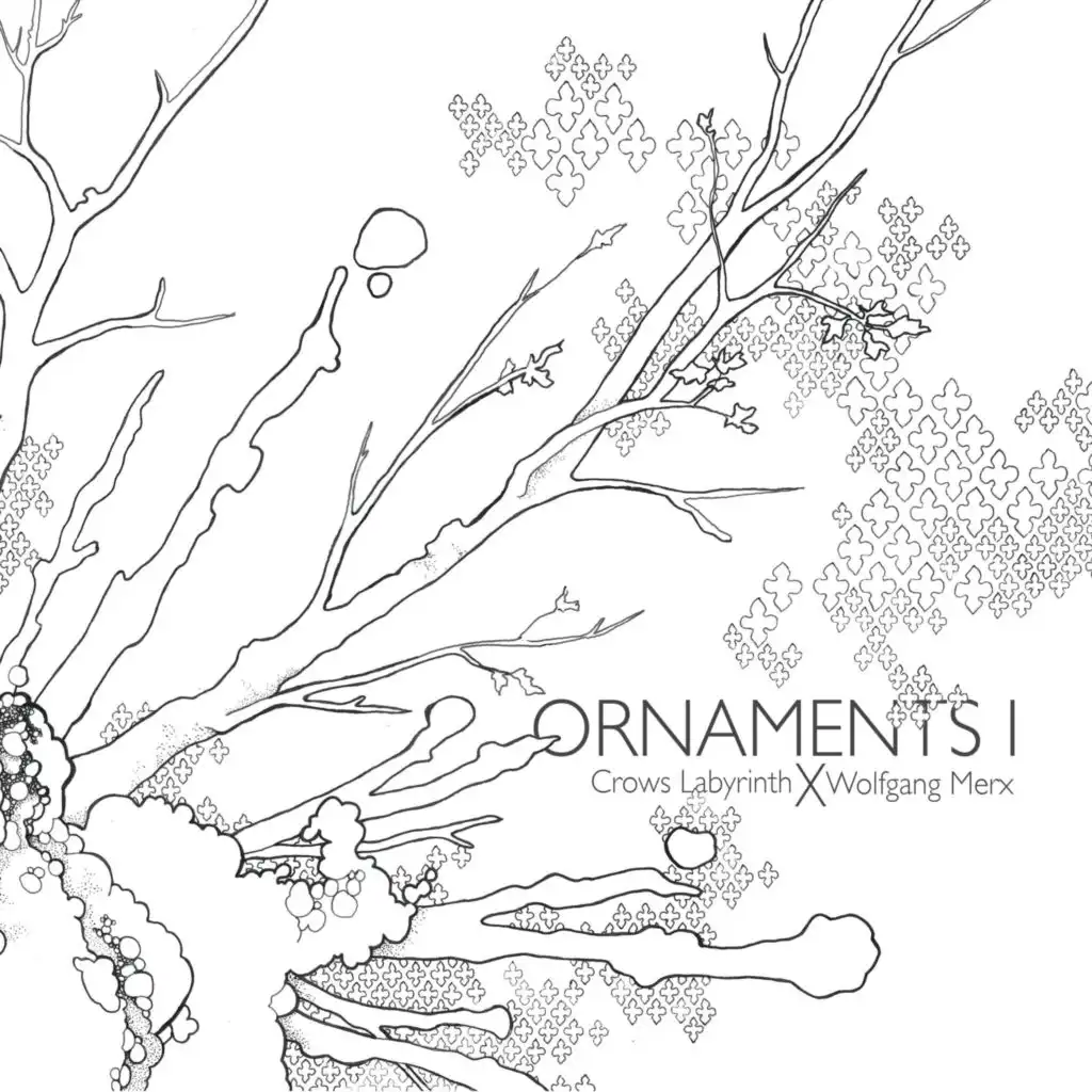 Ornaments I