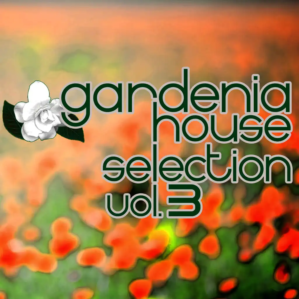 Gardenia House Selection Vol.3