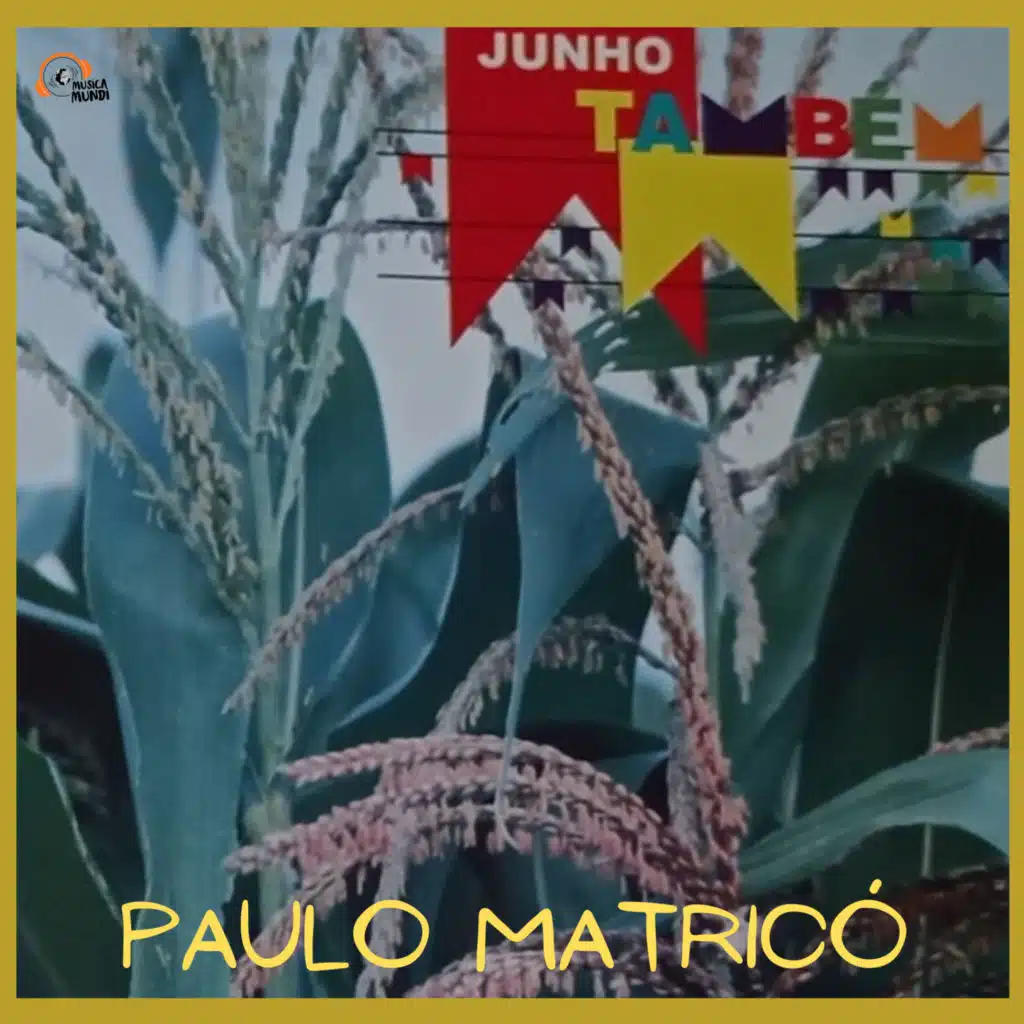 Sulamericana Primavera