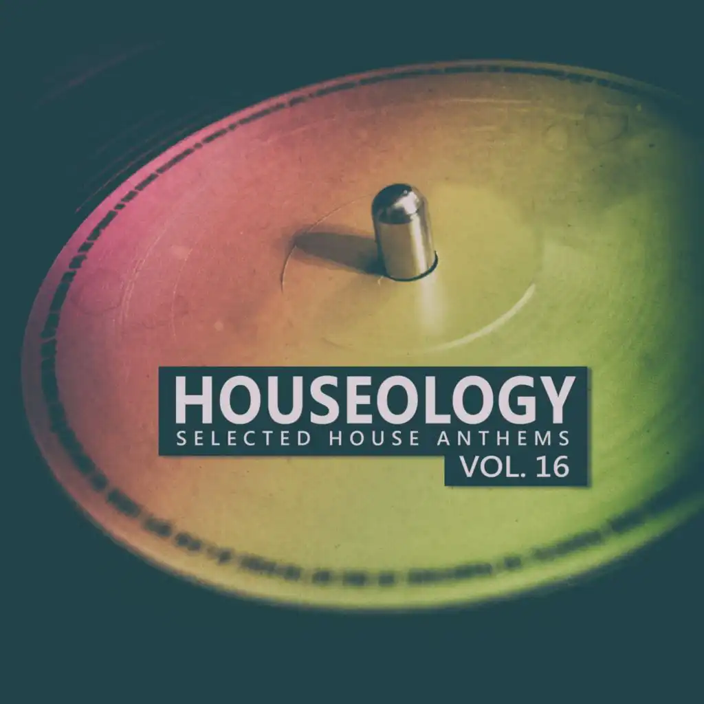 Houseology, Vol. 16 (Selected House Anthems)