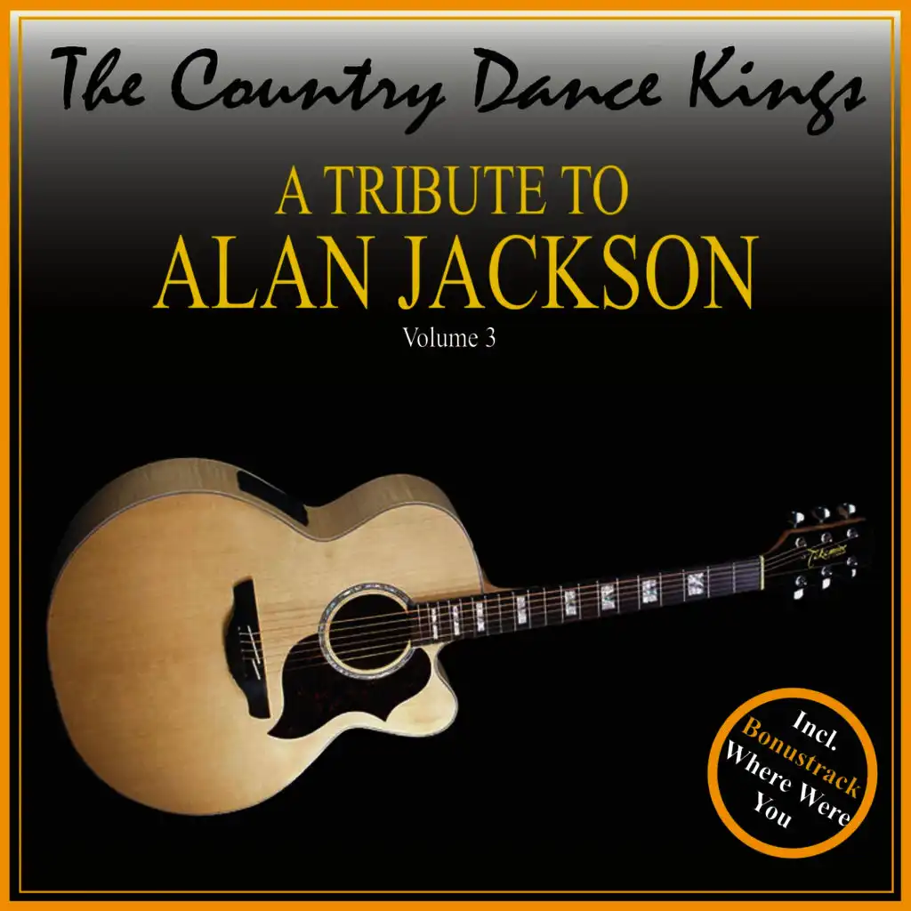 A Tribute to Alan Jackson, Volume 3