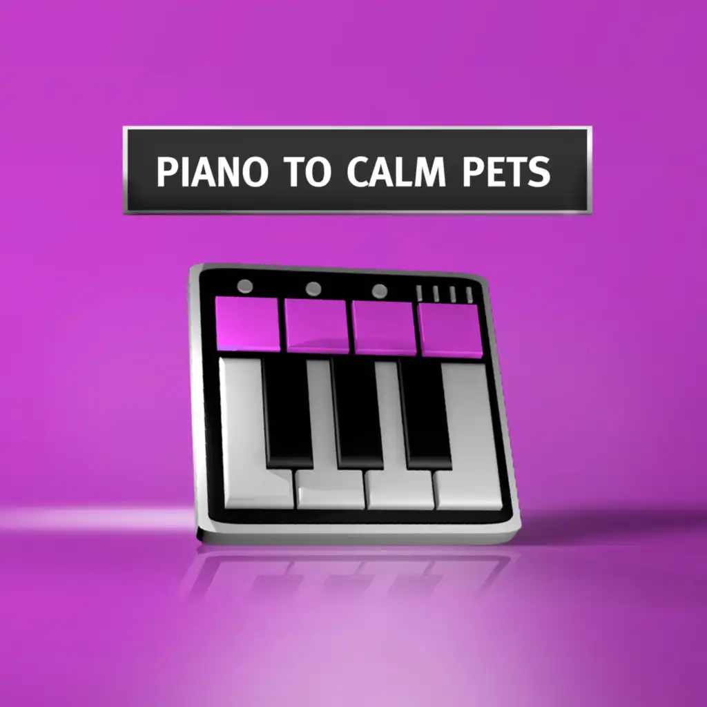Piano To Calm Pets