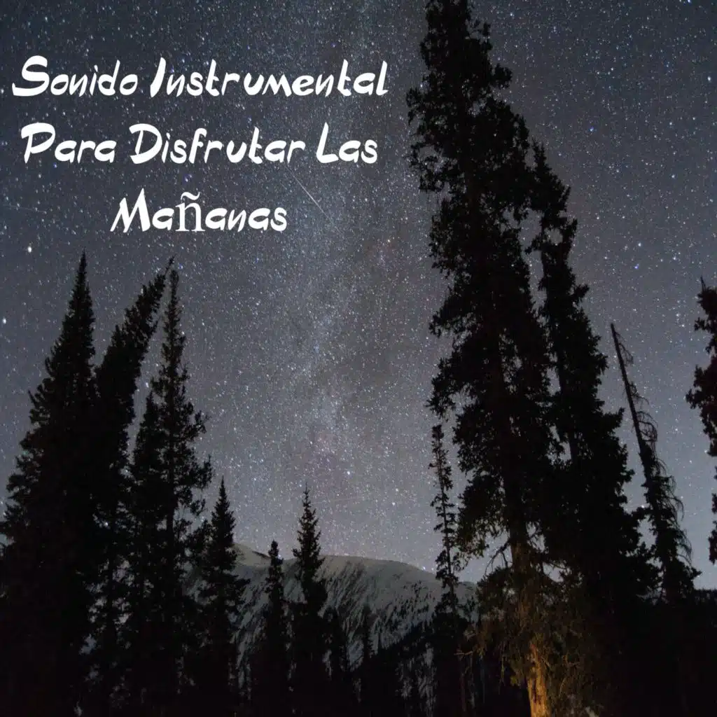 Sonido Instrumental para Disfrutar las Mañanas
