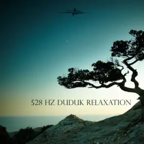 528 Hz Duduk Relaxation (feat. 432 Hz Sound Therapy)