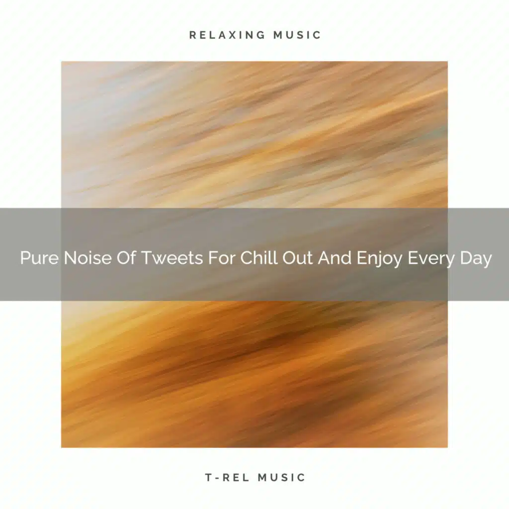 White Noise for Sleeping, White Noise Healing Power & Granular Soundscape