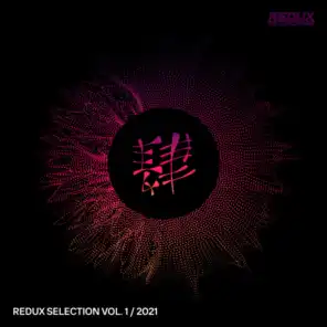 Redux Selection, Vol. 1 / 2021