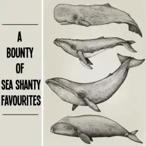 A Bounty Of Sea Shanty Favourites