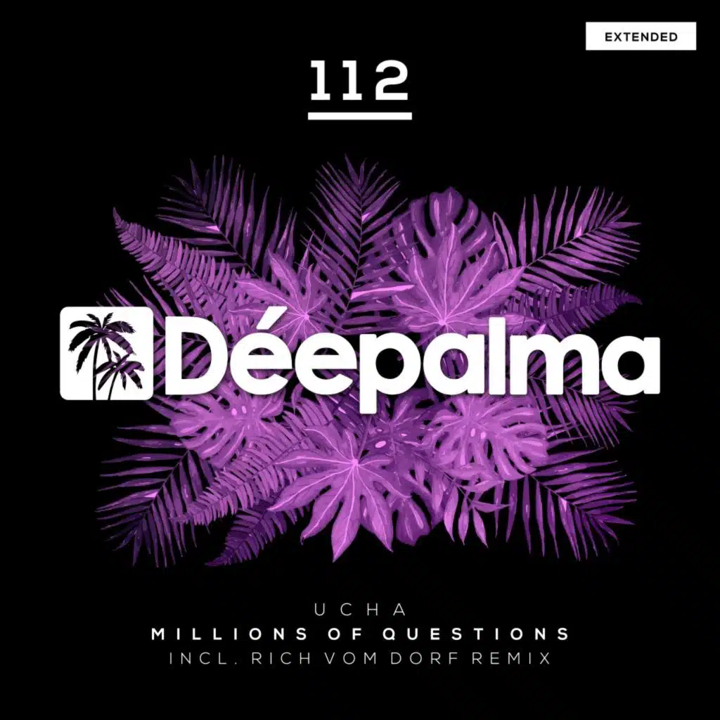 Millions of Questions (Extended Mix)