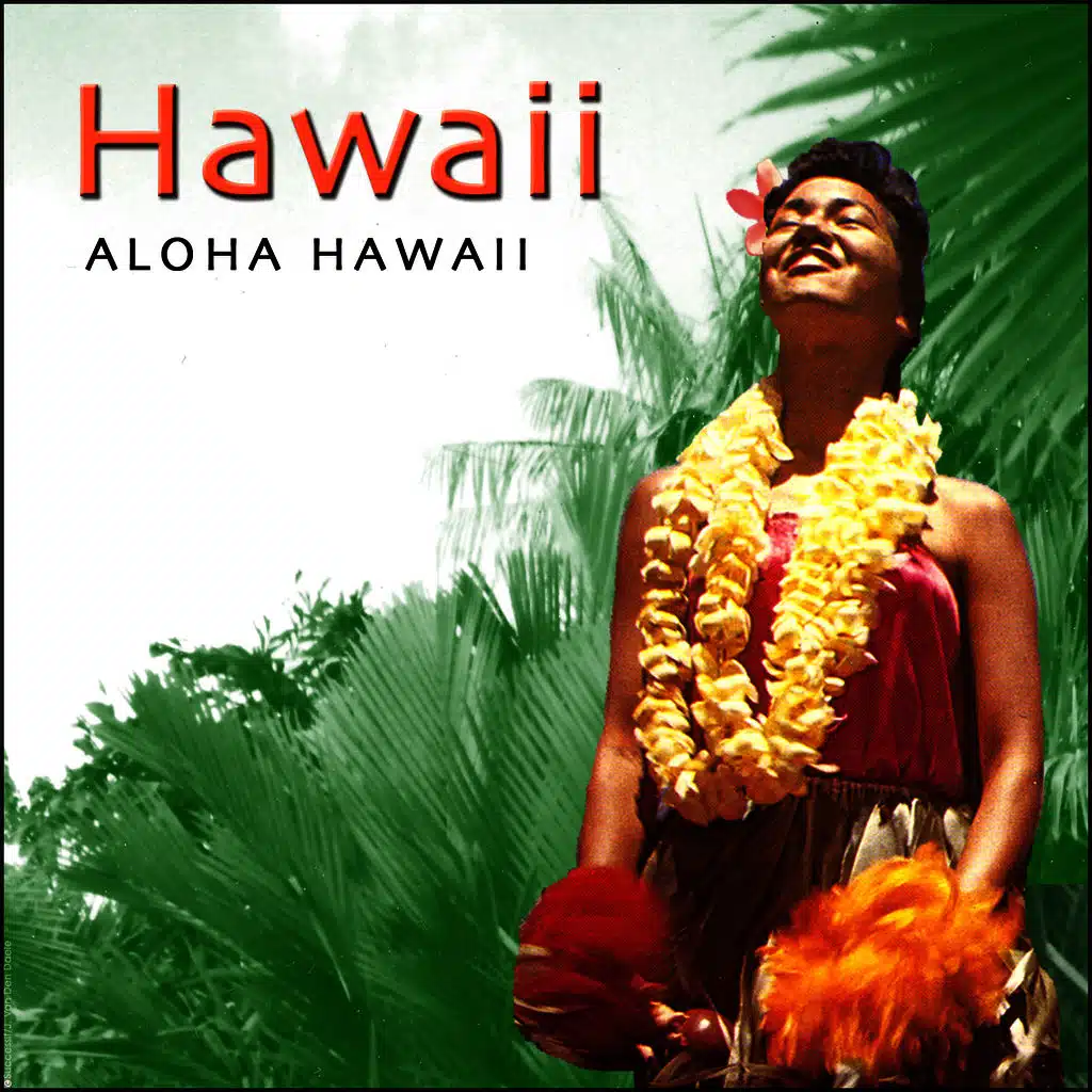 Aloha Hawaii - Hawaiian Guitar