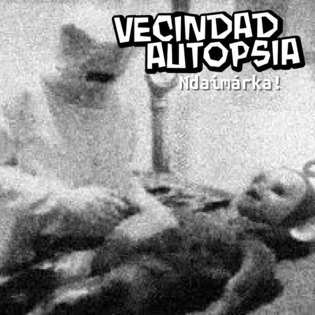 Pajarito Negro