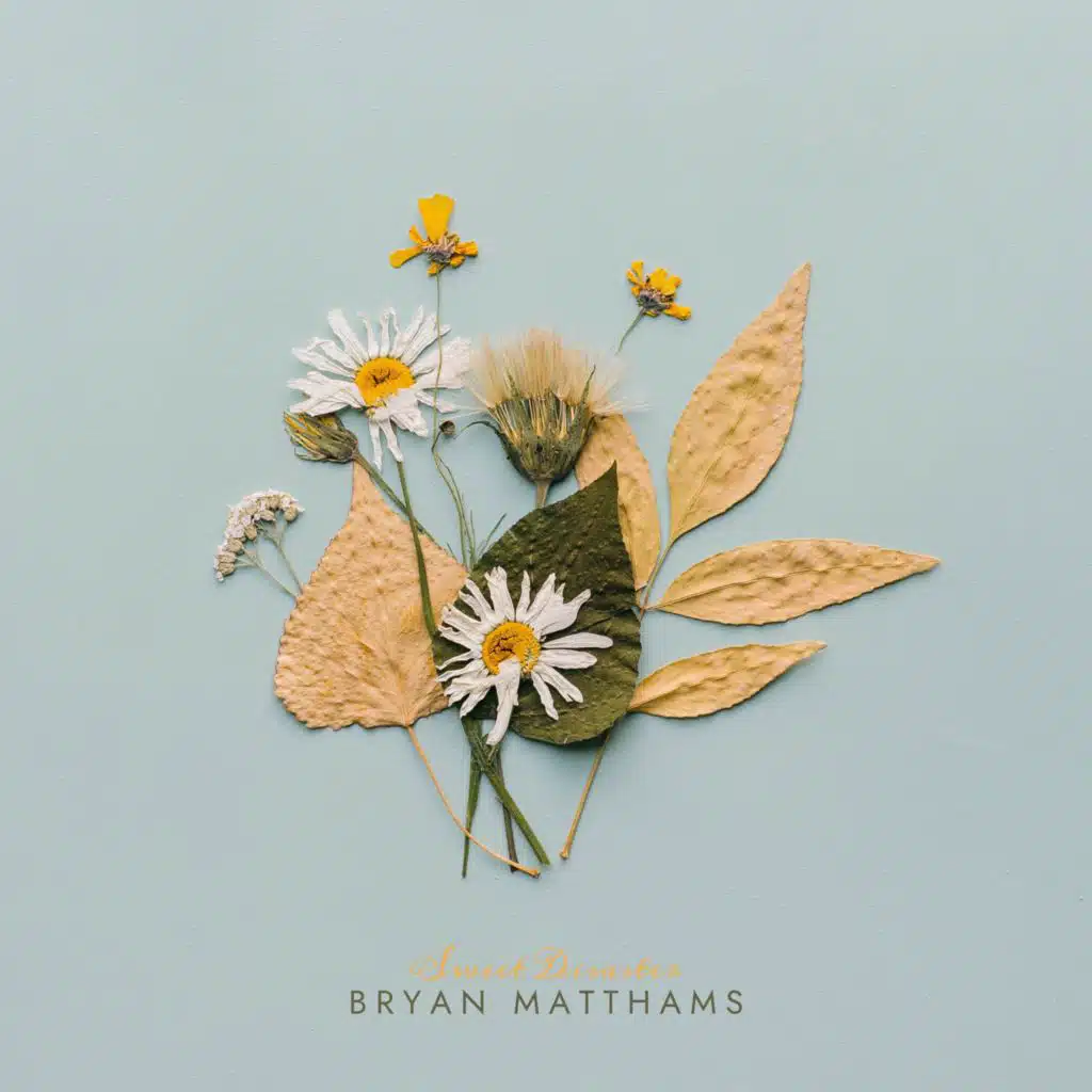 Sweet Disaster (feat. Study Jazz)