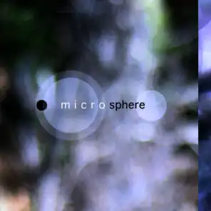 Microsphere