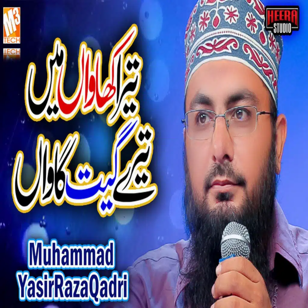 Muhammad Yasir Raza Qadri