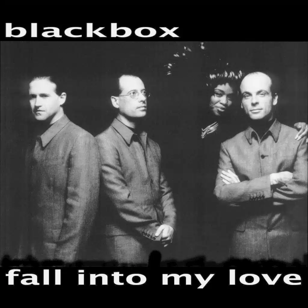 Fall into My Love (Mr Magoo Remix)