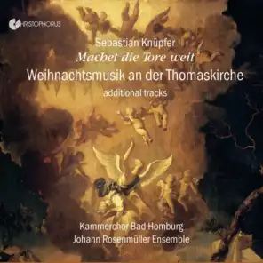 Johann Rosenmüller Ensemble