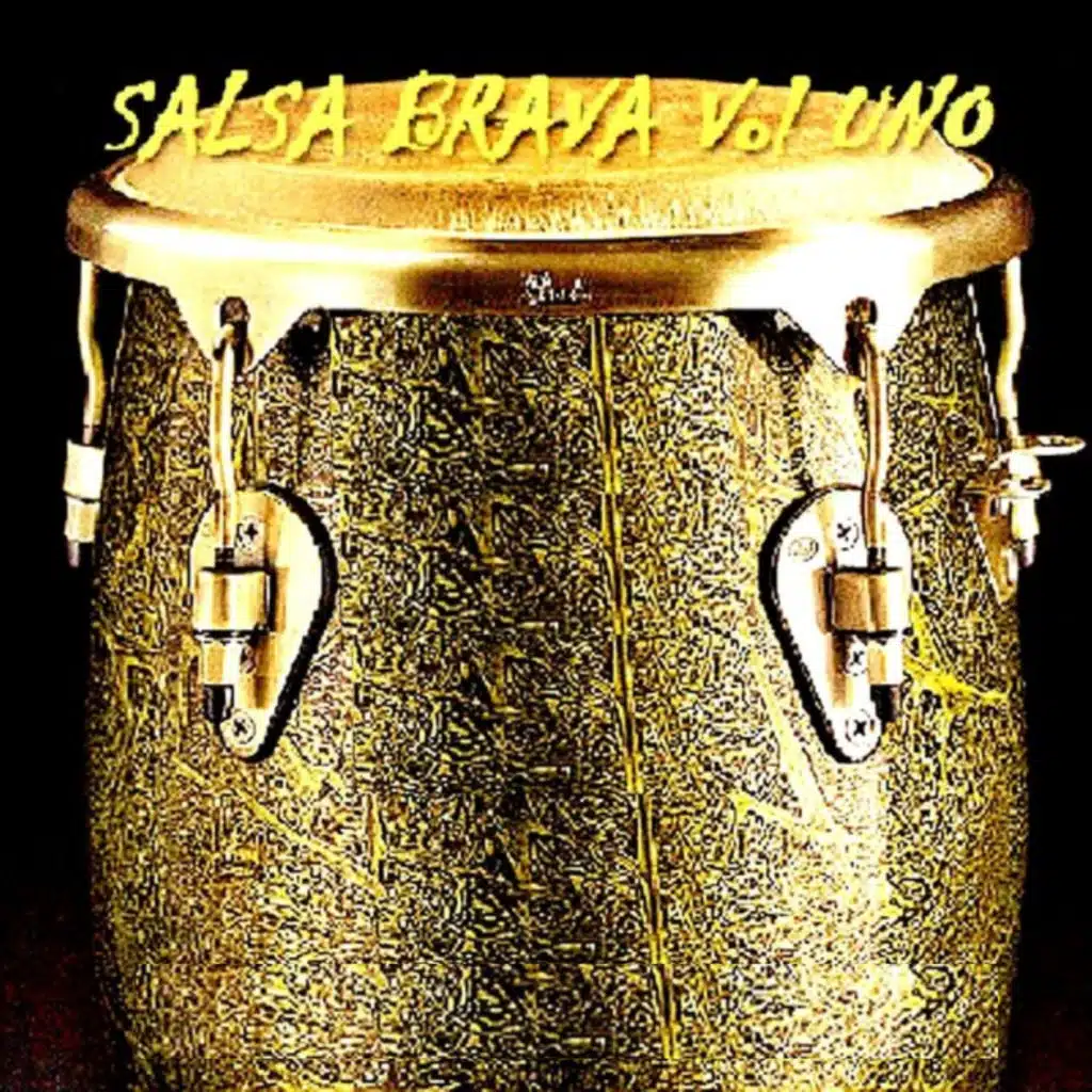 Salsa Brava, Vol. 1