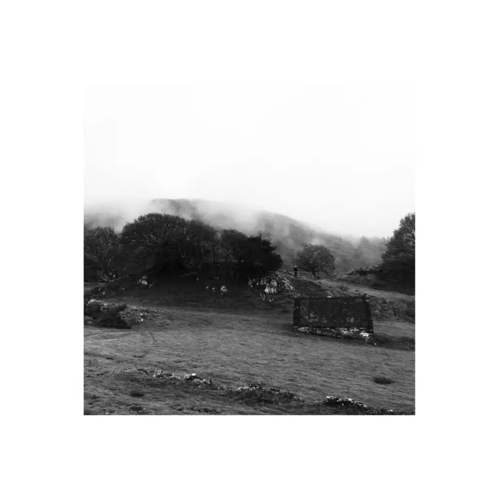 Together in Isolation (Live)