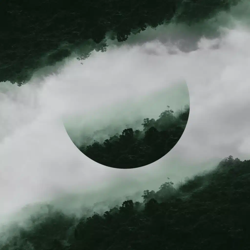 Through The Silence (feat. Eleonora)