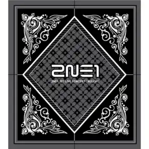 2NE1 1st LIVE CONCERT [NOLZA!]