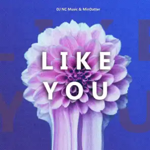 Like You (feat. DJ NC Music)