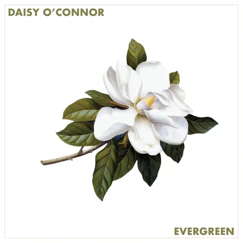 Daisy O'Connor
