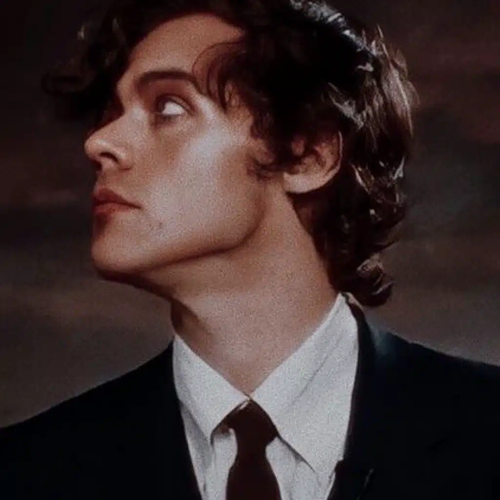 Harry Styles fav songs