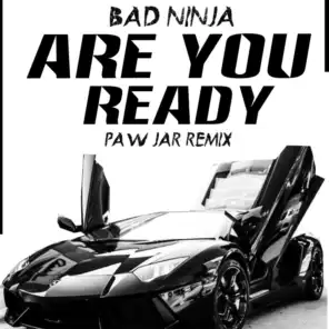 Are You Ready (PAW JAR Remix)
