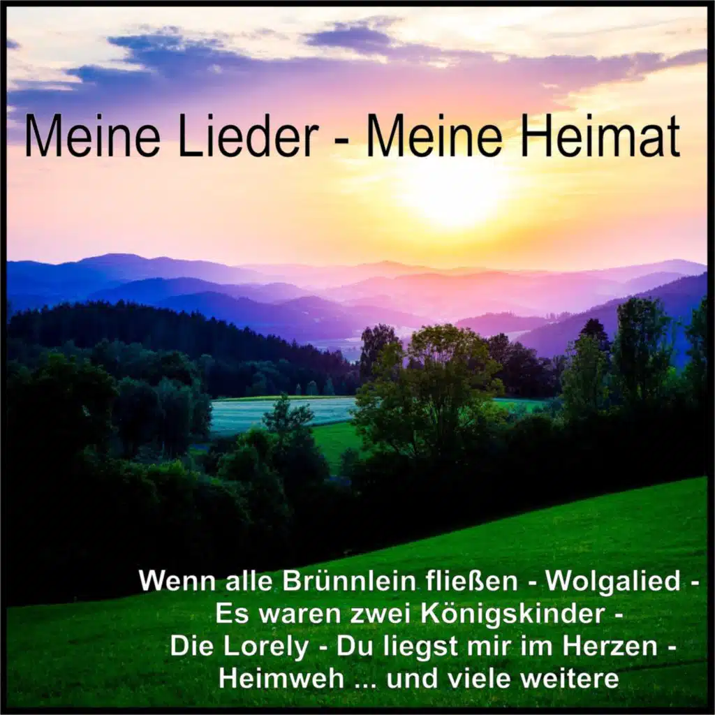 Ein Schlafsack und eine Gitarre (Re-Recording)