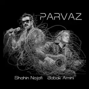 Parvaz (feat. Babak Amini)