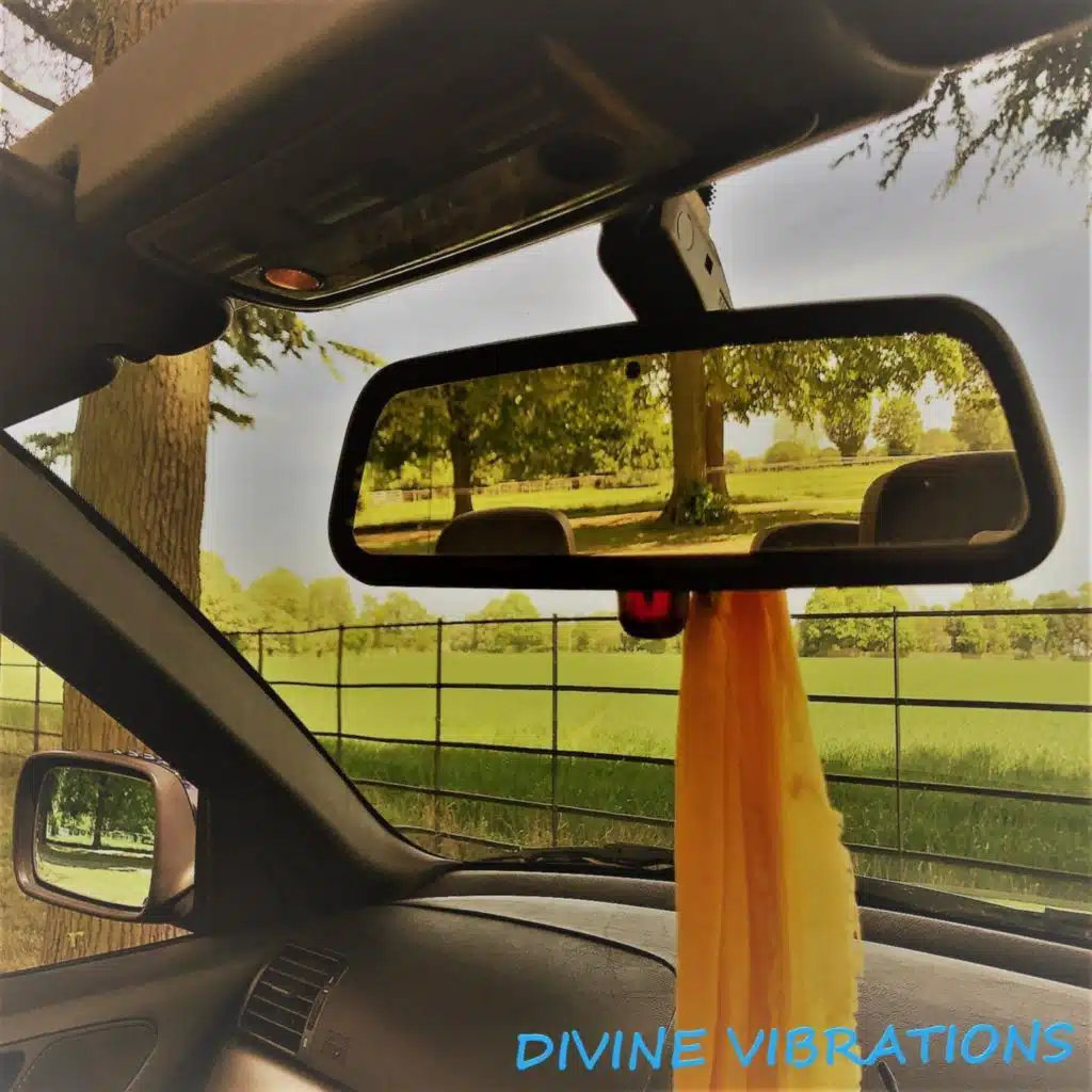 Divine Vibrations