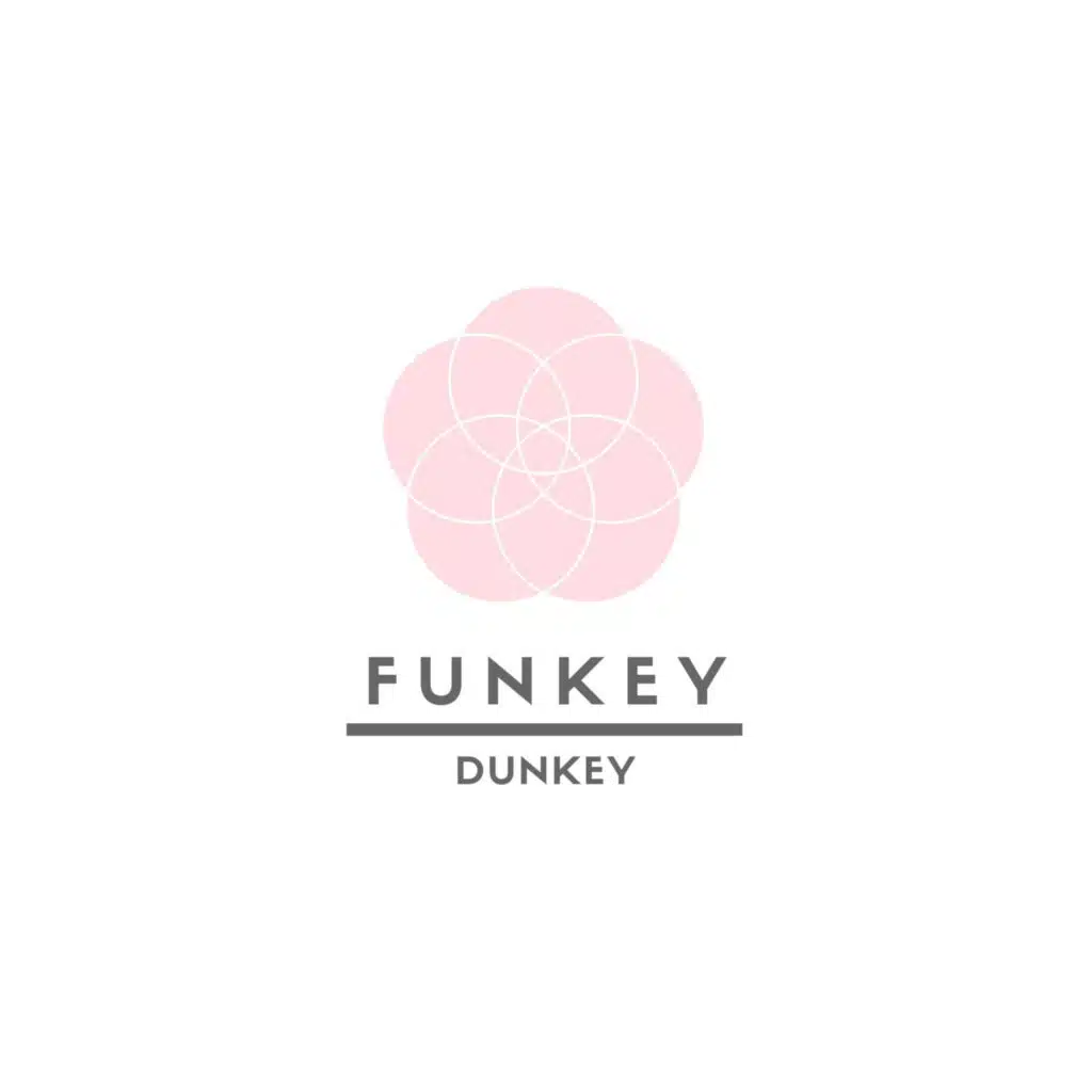 Funkey Dunkey