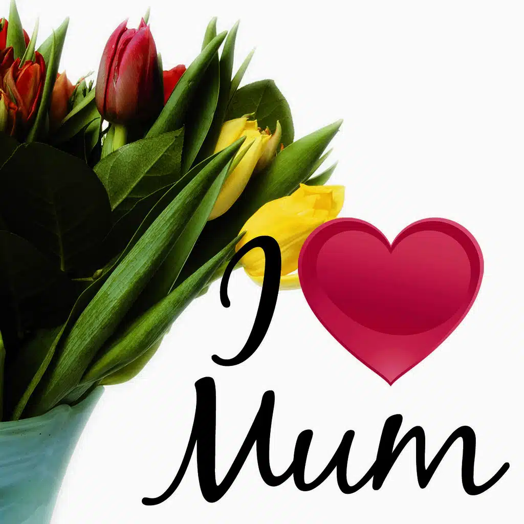 My Love (Interpretation)