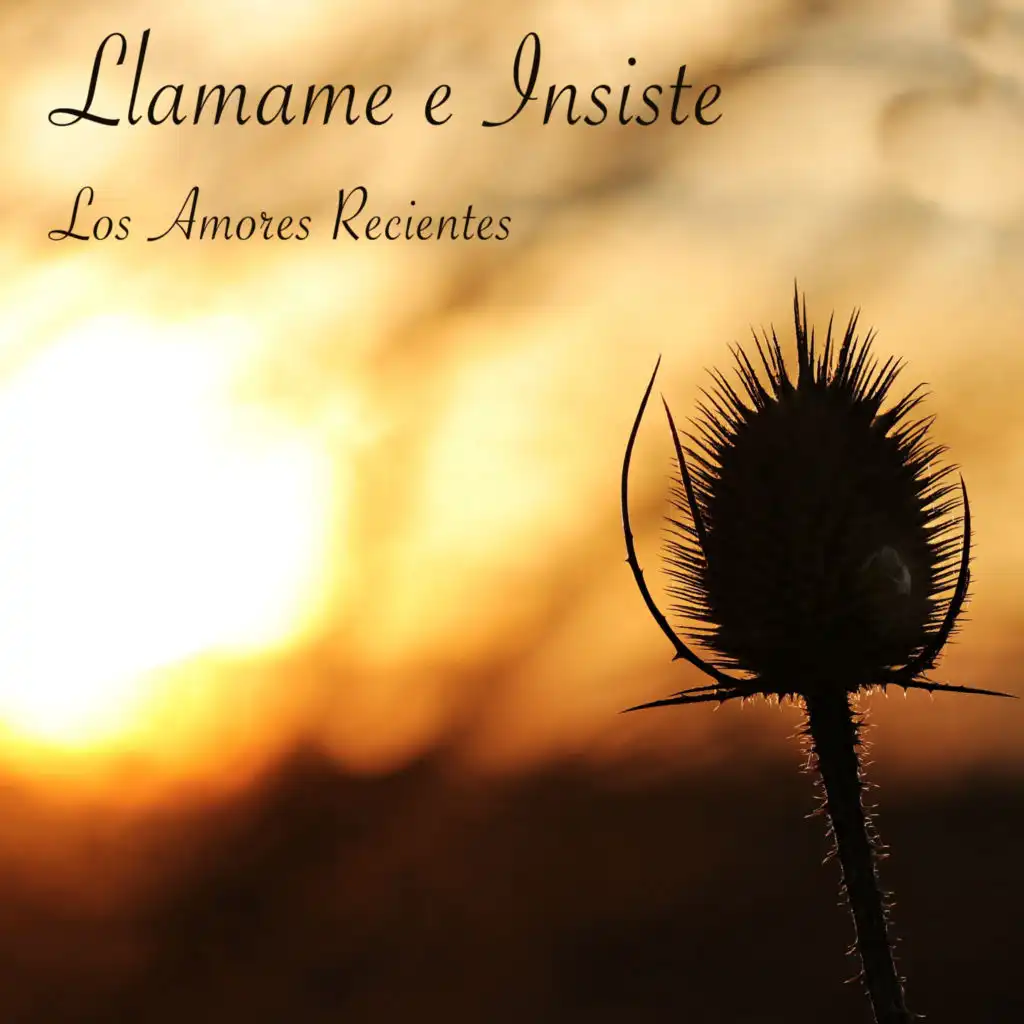 Llamame e Insiste