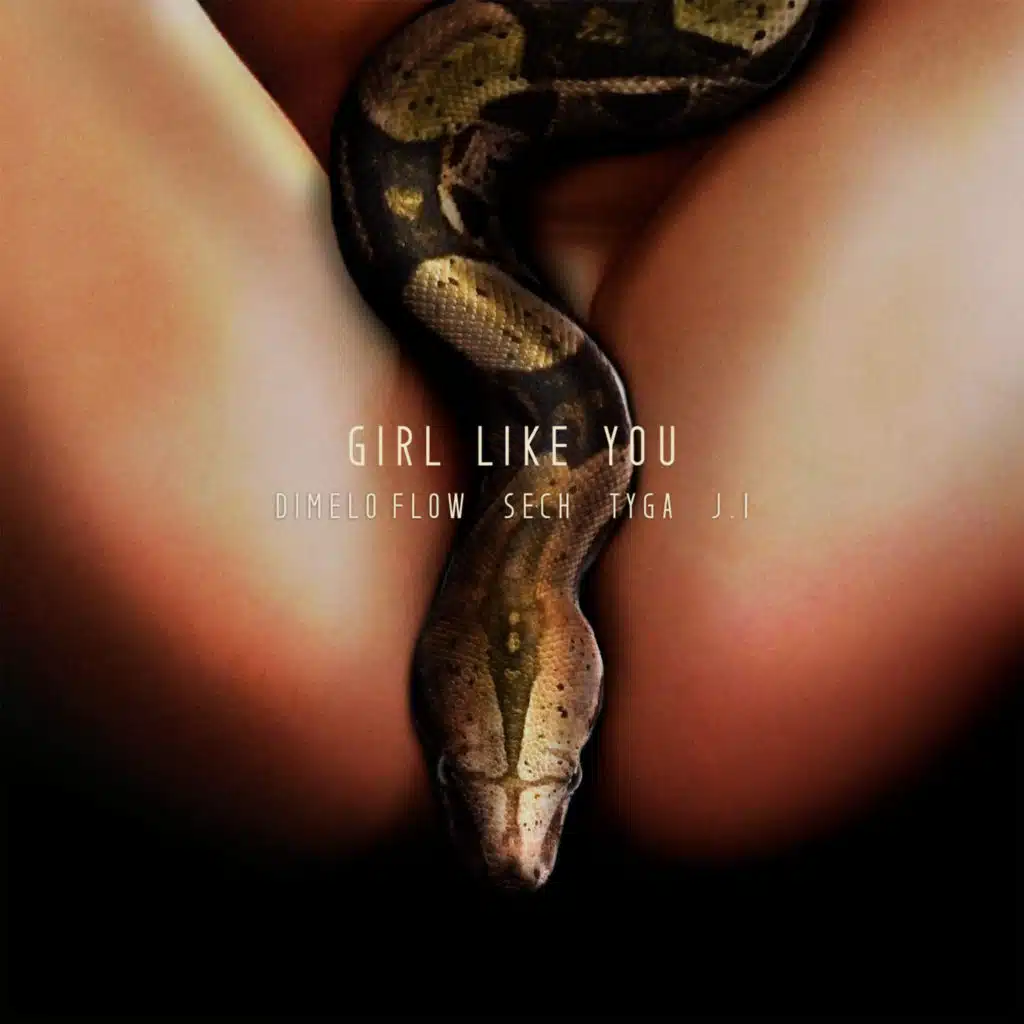 Girl Like You (feat. J.I the Prince of N.Y)