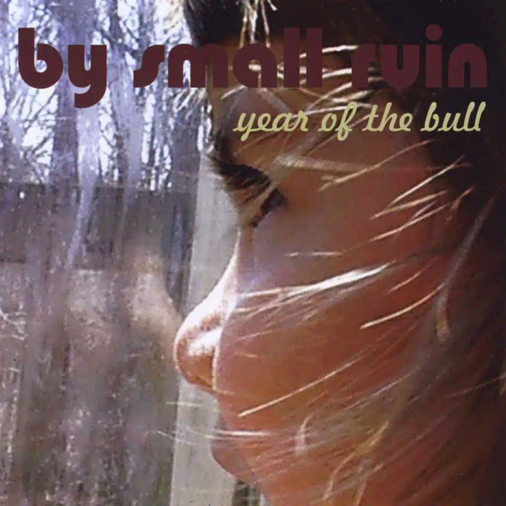 Year of the Bull