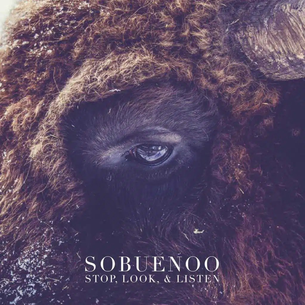 Stop, Look, & Listen