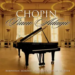 "Wiosna" in G Minor, Op. 74, No. 2: Andantino